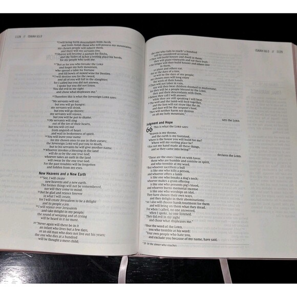The Jesus Bible NIV Edition Zondervan Bibles Leathersoft over Board, Pink - Picture 7 of 11